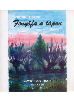 Számadó Ernő - Fenyőfa a lápon Számadó Ernő - Fenyőfa a lápon, Nagyvárad 2006 antikvár könyv