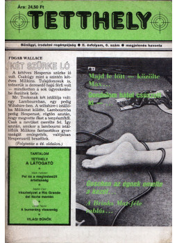 Sebestyén Gábor - Tetthely II. évf. 6. szám Sebestyén Gábor - Tetthely II. évf. 6. szám, Budapest 0 antikvár könyv