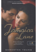 Samantha Young - Jamaica Lane