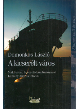 Domonkos László - A kicserélt város (dedikált) Domonkos László - A kicserélt város (dedikált), Budapest 2010 antikvár könyv
