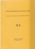 Dr. Szabó László Gy.,Dr. Babulka Péter,Fődi Attila - A Pecsétviaszgomba (Ganoderma lucidum)