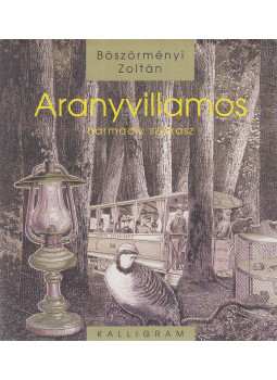 Böszörményi Zoltán - Aranyvillamos Böszörményi Zoltán - Aranyvillamos, Pozsony 2004 antikvár könyv