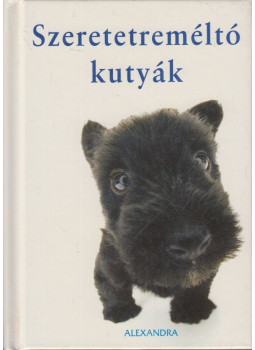 Yoneo Morita - Szeretetreméltó kutyák, Pécs 2006 antikvár könyv