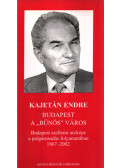 Kajetán Endre - Budapest a "bűnös" város