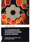 Somlyódyné Pfeil Edit - Az agglomerációk intézményesítésének sajátos kérdései