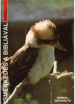 Elsi Wälti, Madeleine Ruh - Ismerkedés a Bibliával III. negyedév július-szeptember, Budapest 1994 antikvár könyv