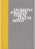 Vásárhelyi Pákozdy Ferenc - Fekete könyv