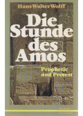 Hans Walter Wolff - Die Stunde des Amos