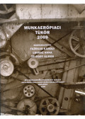Fazekas Károly,Lovász Anna,Telegdy Álmos - Munkaerőpiaci tükör 2009