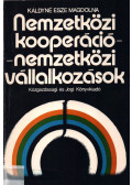 Káldyné Esze Magdolna - Nemzetközi kooperáció - nemzetközi vállalkozások