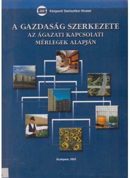 Dr. Nyitrai Ferencné - A gazdaság szerkezete az ágazati kapcsolati mérlegek alapján, Budapest 2005 antikvár könyv
