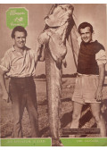 Vigh József - Magyar Horgász 1960. október