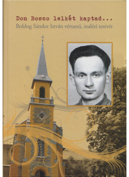 B. Varga Judit - Don Bosco lelkét kaptad… B. Varga Judit - Don Bosco lelkét kaptad…, Budapest 2013 antikvár könyv