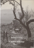 Bulányi György - A Bokor lelkisége
