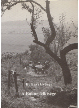 Bulányi György - A Bokor lelkisége Bulányi György - A Bokor lelkisége, null 1955 antikvár könyv