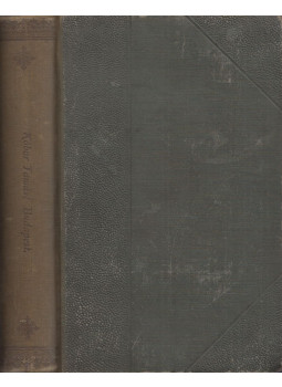 Kóbor Tamás - Budapest Kóbor Tamás - Budapest, Budapest 1919 antikvár könyv