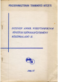 Görgényi István - Intenzív angol nyelvtanfolyam pénzügyi szöveggyűjtemény középhaladó II.