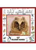 Telegdi Ágnes - Madárvarázs