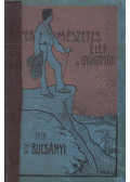 Dr. Bucsányi Gyula - Természetes élet- és gyógymód
