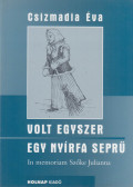 Csizmadia Éva - Volt egyszer egy nyírfa seprű