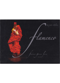 Kárpáti Zoltán - Flamenco (dedikált) Kárpáti Zoltán - Flamenco (dedikált), null 2013 antikvár könyv