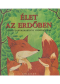 Papp Viktória - Élet az erdőben