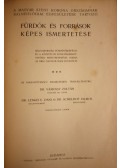 Dr. Vámossy Zoltán (szerk.),Dr. Lenkei V. Dani (szerk.),Dr. Schulhof Vilmos (szerk.) - A Magyar Szent Korona országainak Balneológiai Egyesületébe tartozó fürdők és források képes ismertetése