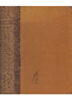 Gobineau, Arthur Graf von - Die Renaissance, Leipzig 1919 antikvár könyv