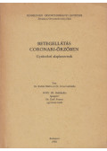 dr. Rohla Miklós,Dr. Jóna Gabriella - Betegellátás coronari-őrzőben