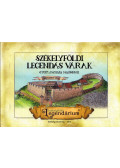 Gyöngyössy János - Székelyföldi legendás várak
