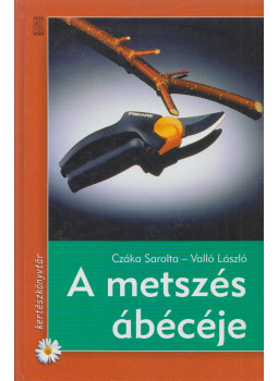 Valló László, Czáka Sarolta - A metszés ábécéje Valló László, Czáka Sarolta - A metszés ábécéje, Budapest 2000 antikvár könyv