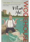 Pelham Grenville Wodehouse - What Ho!