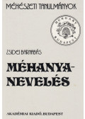 Zsidei Barnabás - Méhanyanevelés