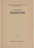 Géczy Barnabás - Őslénytan
