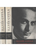 Illyés Gyula - Illyés Gyula összegyűjtött versei I-II. kötet