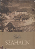 Anton Pavlovics Csehov - Szahalin