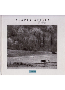 Alapfy András, Alapfy László - Alapfy Attila és Ilona Alapfy András, Alapfy László - Alapfy Attila és Ilona, Budapest 2010 antikvár könyv