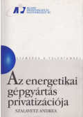 Szalavetz Andrea - Az energetikai gépgyártás privatizációja