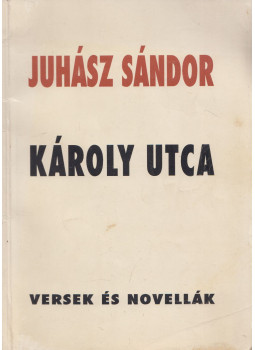 Juhász Sándor - Károly utca Juhász Sándor - Károly utca, Budapest 1994 antikvár könyv