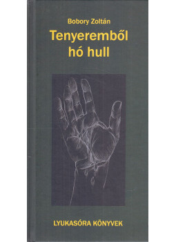 Bobory Zoltán - Tenyeremből hó hull (dedikált) Bobory Zoltán - Tenyeremből hó hull (dedikált), Budapest 2007 antikvár könyv