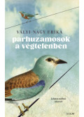 Vályi-Nagy Erika - Párhuzamosok a végtelenben