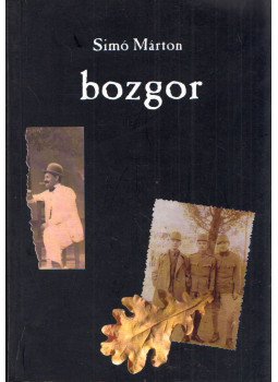 Simó Márton - Bozgor Simó Márton - Bozgor, Budapest 2004 antikvár könyv