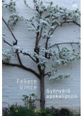 Fekete Vince - Gyönyörű apokalipszis