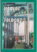 Dr. Csaba József - Bányászati és Kohászati Lapok - Kőolaj és földgáz 1995/4.