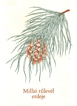 Simon Valéria, Várady Eszter (szerk.) - Millió tűlevél erdeje Simon Valéria, Várady Eszter (szerk.) - Millió tűlevél erdeje, Budapest 2007 antikvár könyv
