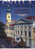 D. Nagy András - Gyula régen és ma / Gyula früher und Heute I. kötet