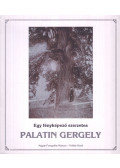 Korzenszky Richárd,Mayer Farkas,Kincses Károly,Szigeti Kerény - Egy fényképező szerzetes: Palatin Gergely