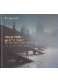 Jirí Vsetecka - Praszy Chodec / Walker of Prague / Ein Spaziergänger durch Prag / Un Passant de Prague