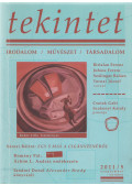 Ördögh Szilveszter - Tekintet 2011/5