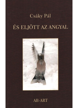 Csáky Pál - És eljött az angyal Csáky Pál - És eljött az angyal, Győr 2014 antikvár könyv